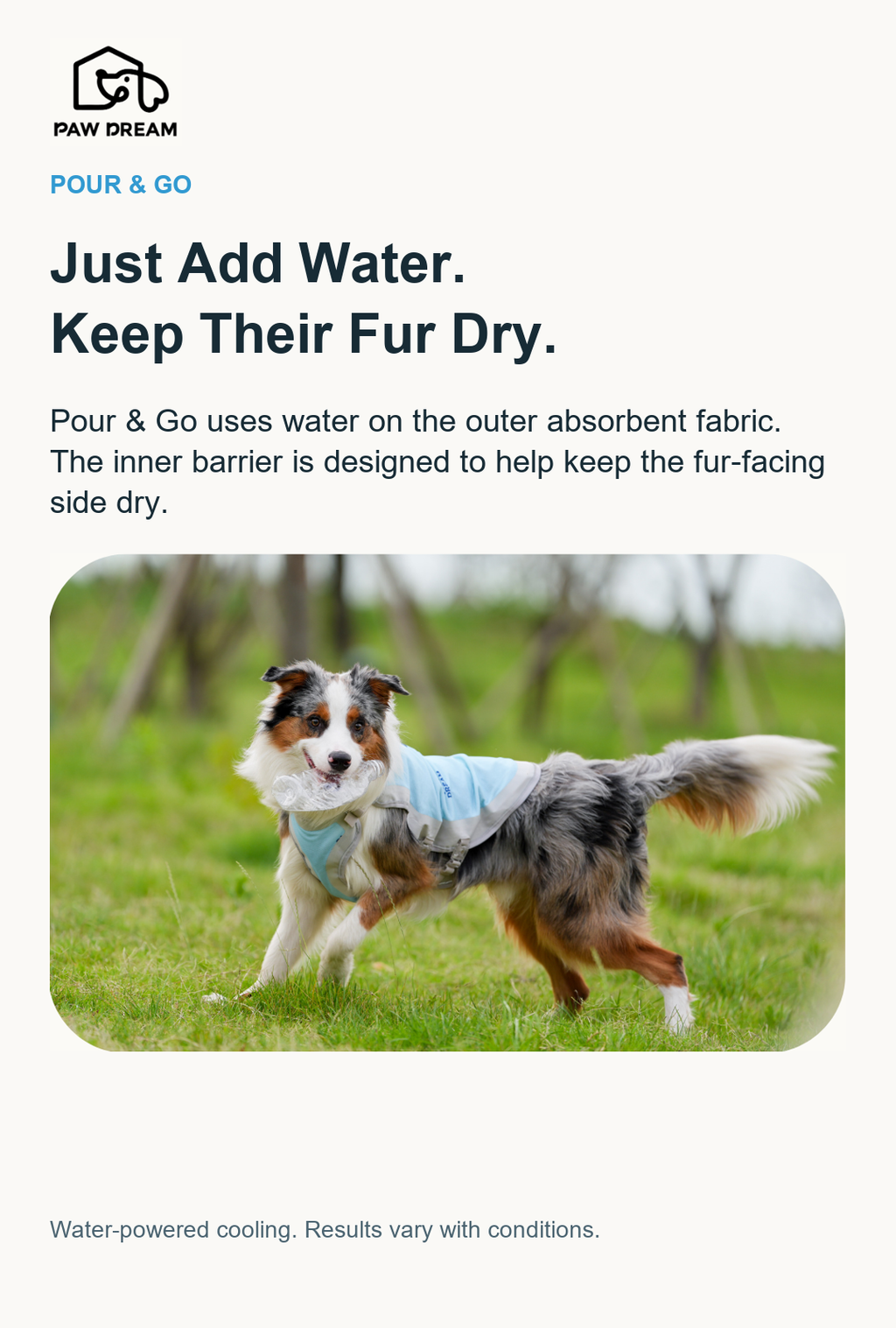 PAW DREAM Dry Cooling Vest — Pour & Go