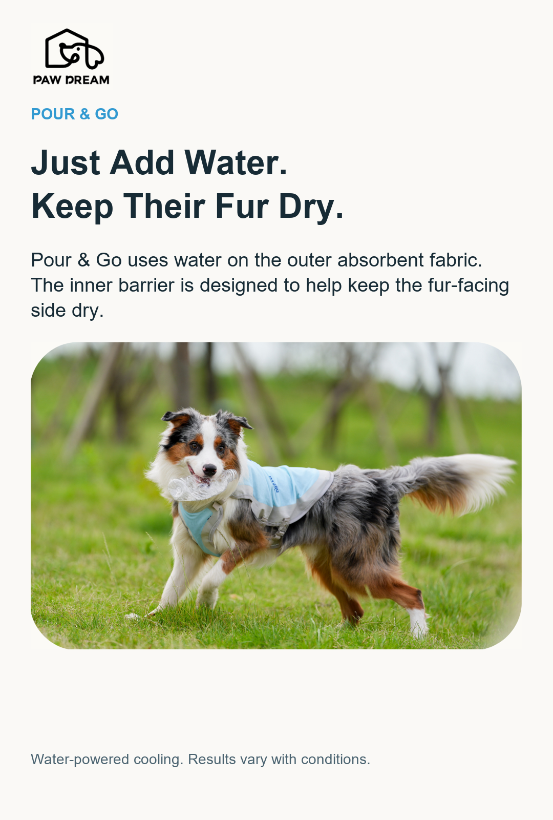 PAW DREAM Dry Cooling Vest — Pour & Go