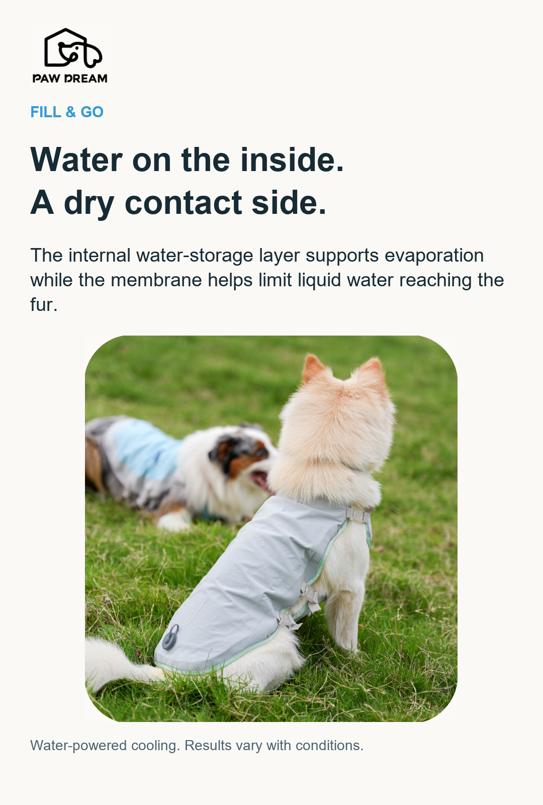 PAW DREAM Dry Cooling Vest — Fill & Go