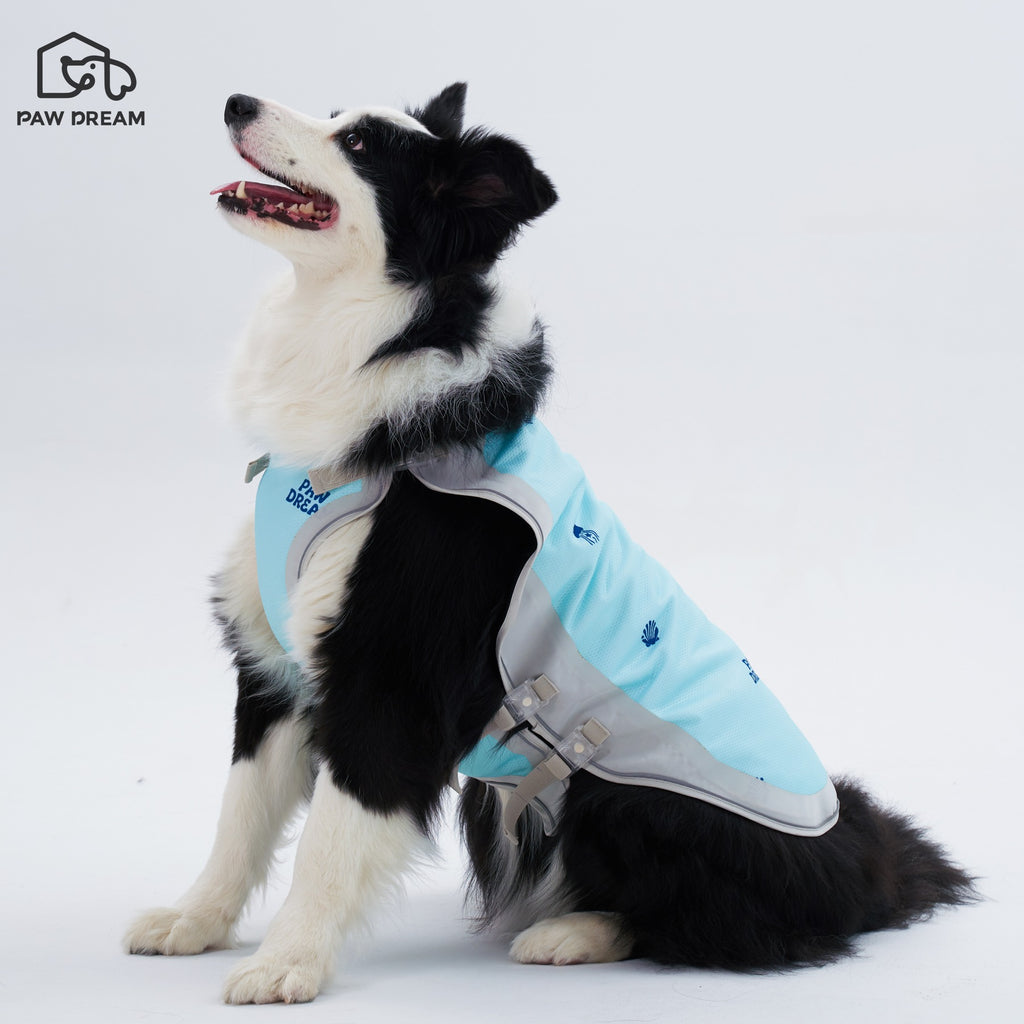 PAW DREAM Dry Cooling Vest — Pour & Go