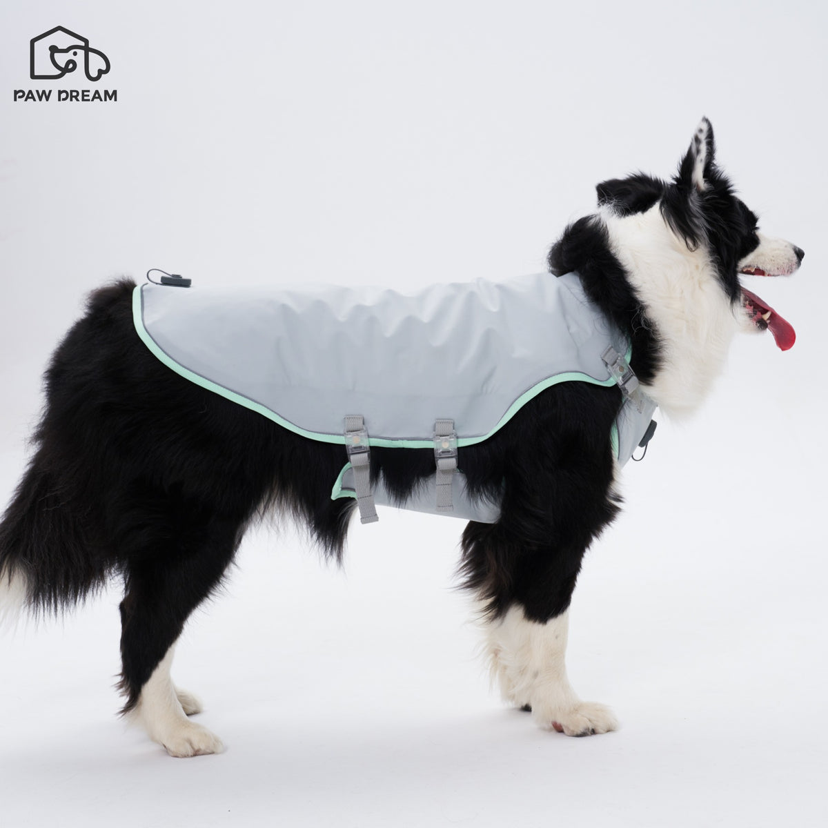 PAW DREAM Dry Cooling Vest — Fill & Go
