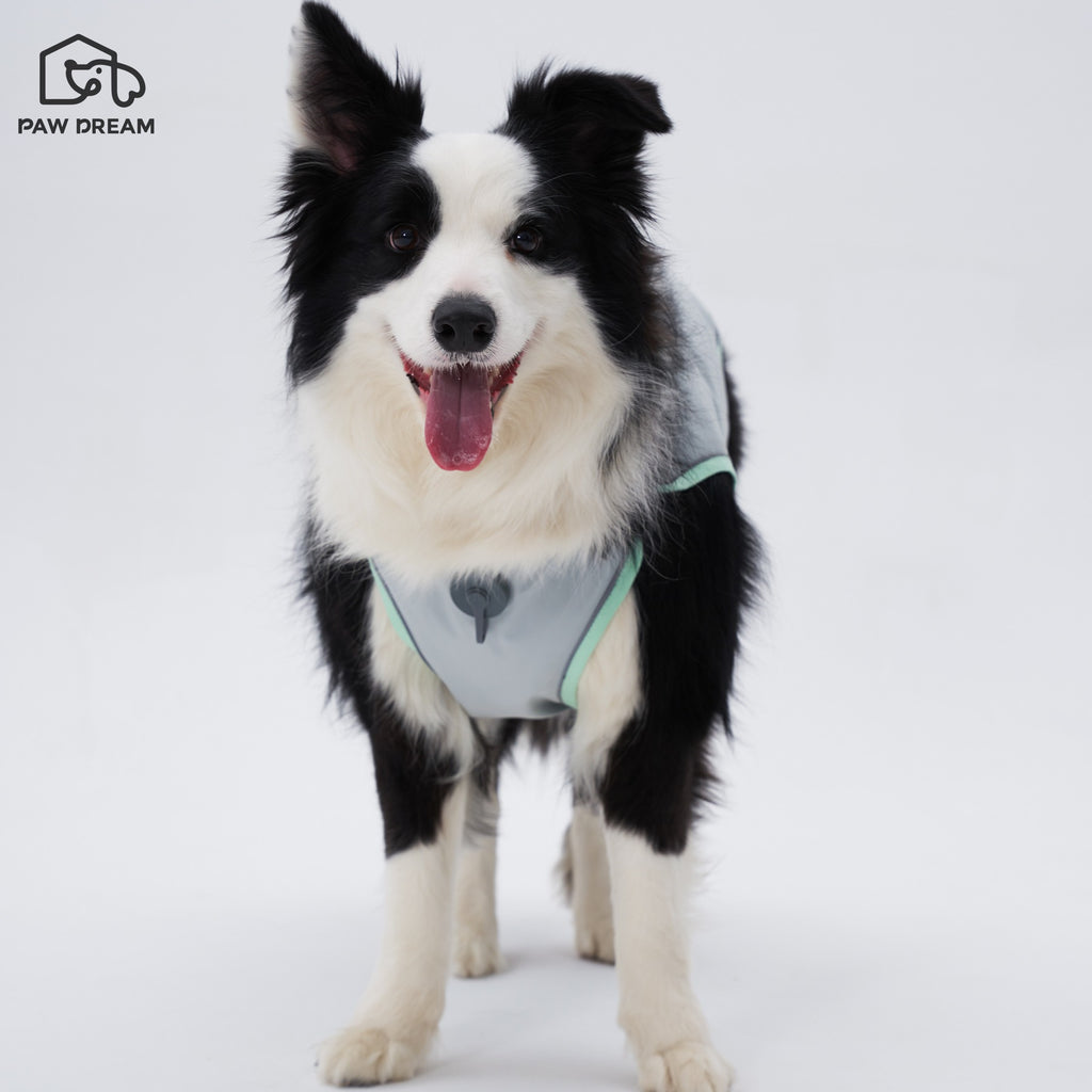 PAW DREAM Dry Cooling Vest — Fill & Go