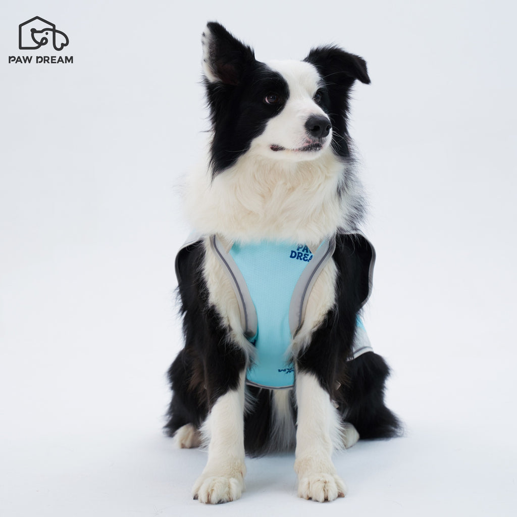PAW DREAM Dry Cooling Vest — Pour & Go