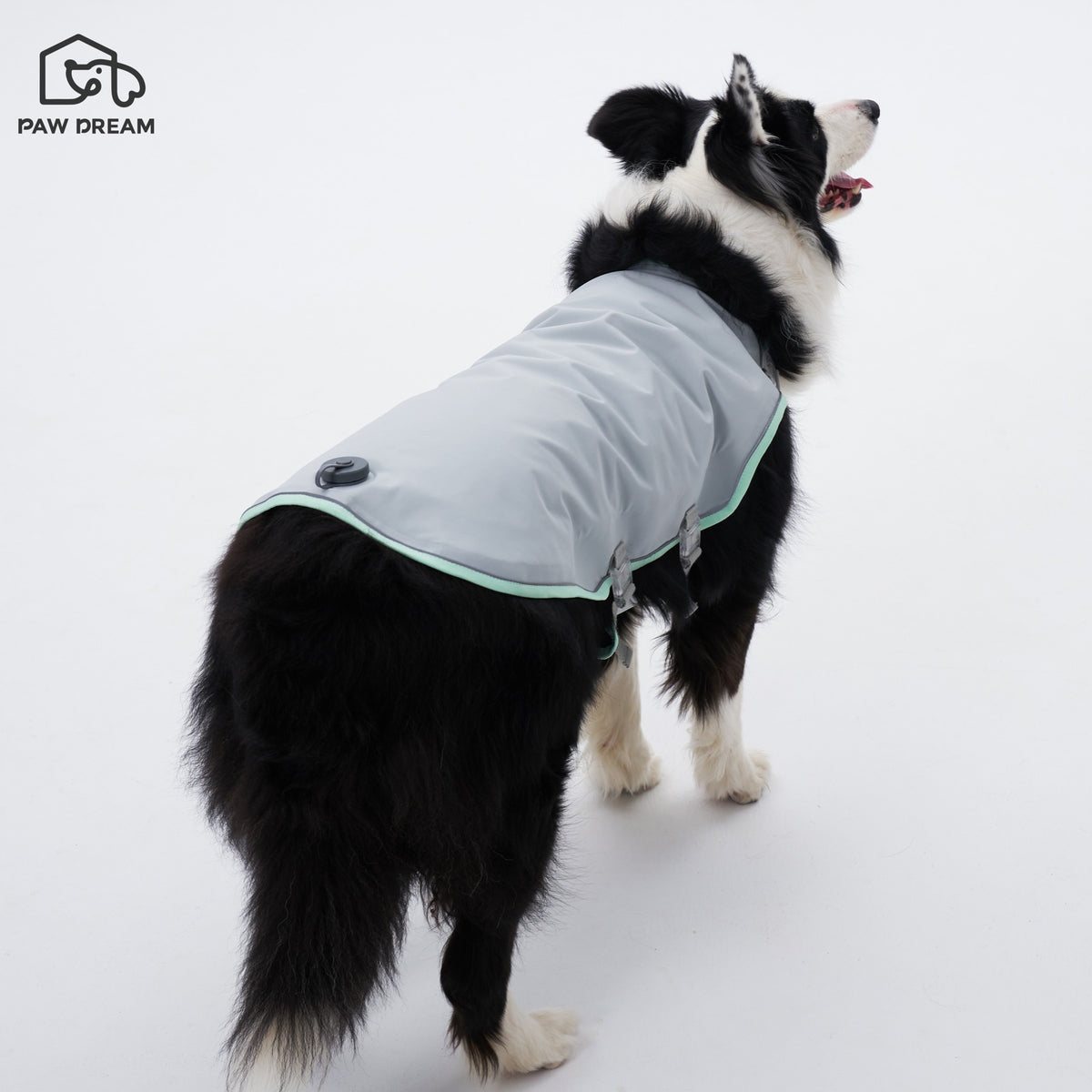 PAW DREAM Dry Cooling Vest — Fill & Go