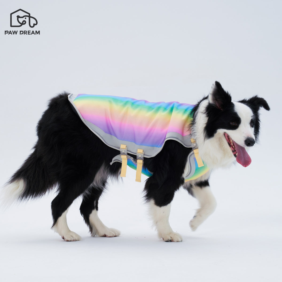 PAW DREAM Dry Cooling Vest — Pour & Go