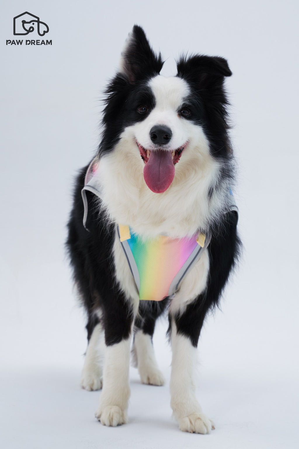 PAW DREAM Dry Cooling Vest — Pour & Go
