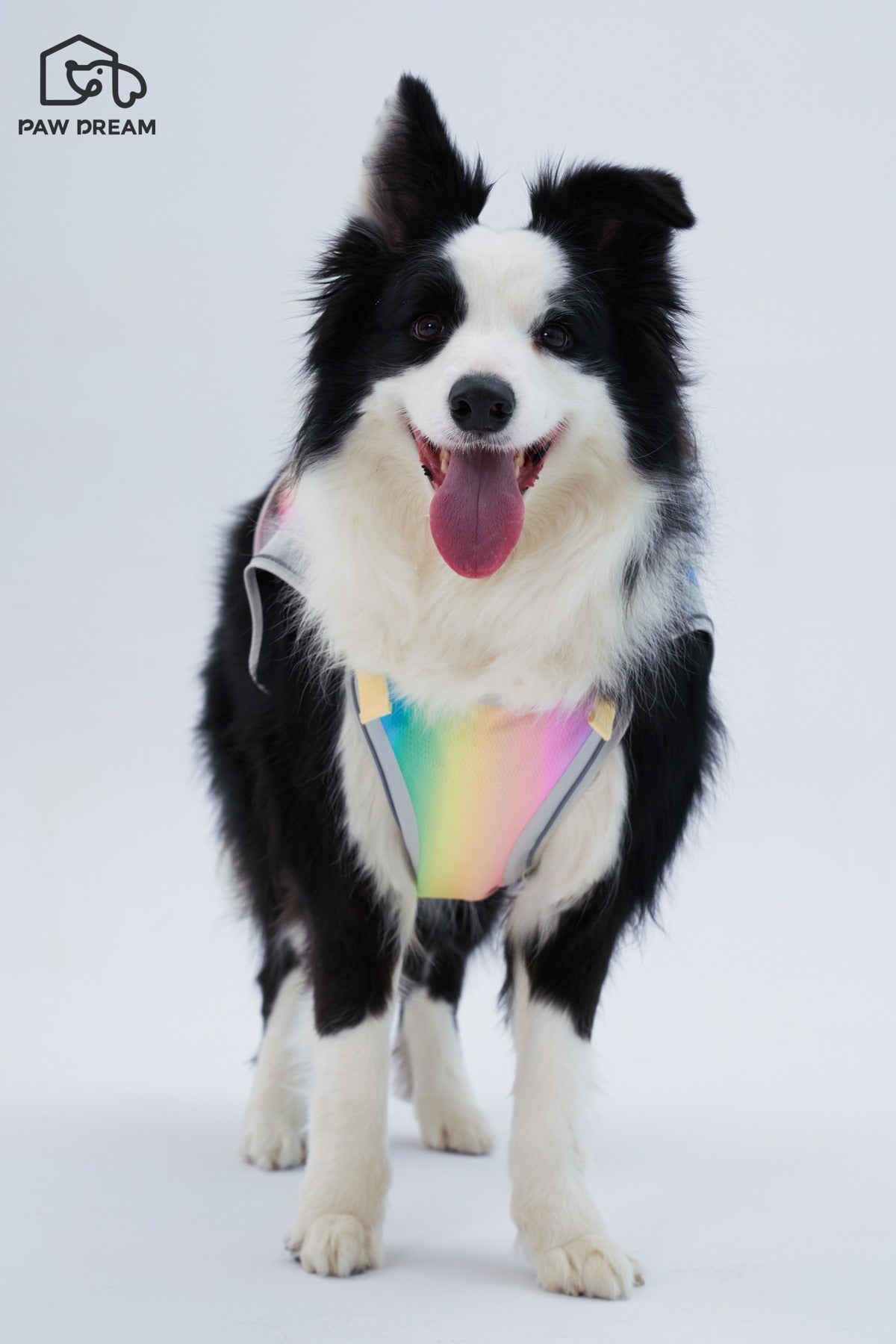 PAW DREAM Dry Cooling Vest — Pour & Go